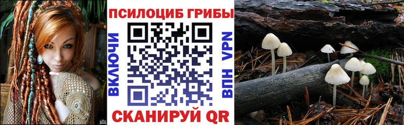 Псилоцибиновые грибы прущие грибы Абакан