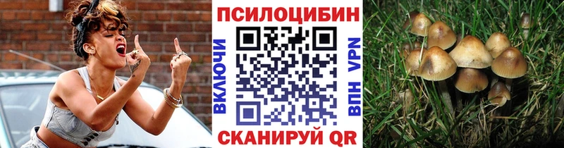 OMG вход Абакан Галлюциногенные грибы прущие грибы